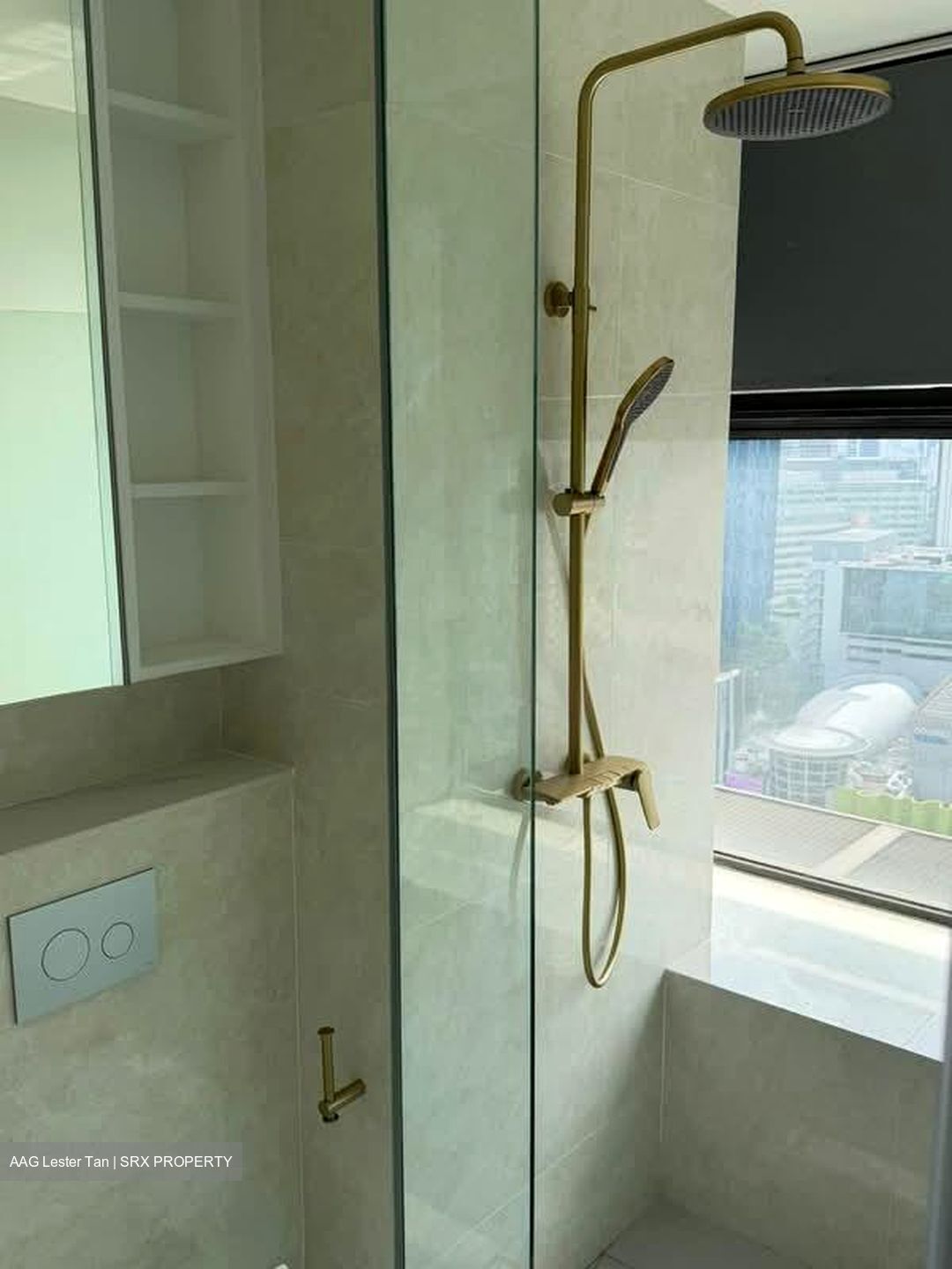 Newton Suites (D11), Apartment #561757661